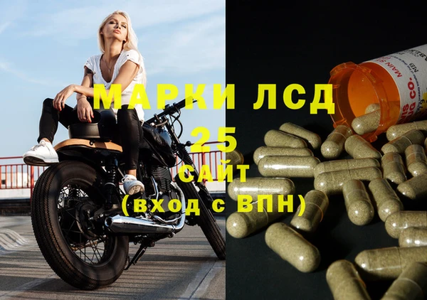 spice Вязьма