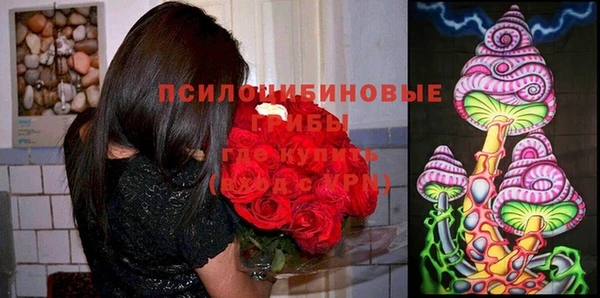 jwh Михайловка