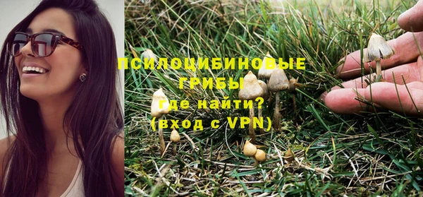 скорость Медвежьегорск
