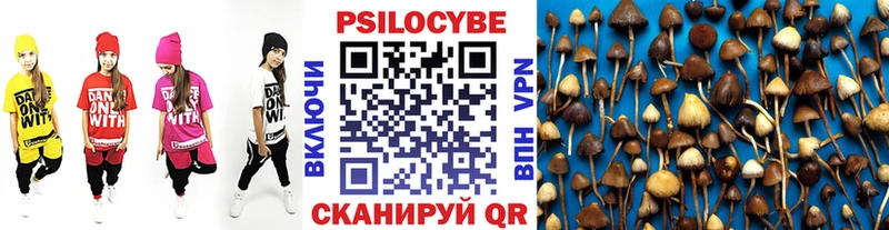 магазин продажи   Княгинино  Псилоцибиновые грибы GOLDEN TEACHER 
